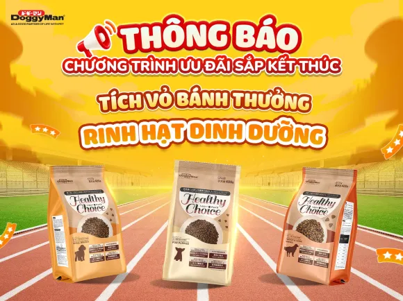 Kết thúc chương trình 