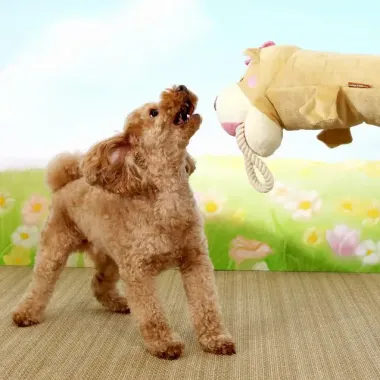 Rối tay hình chó Shiba